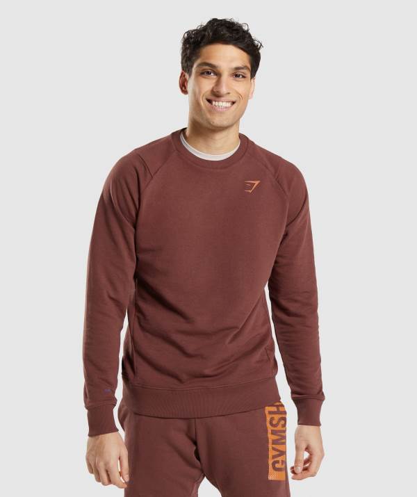 Panske Pulovre Gymshark Bold Crew Ruzove Hnede | XR7523481